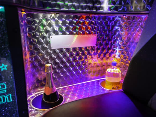 16 Seater Party Bus Hire detail